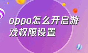 oppo怎么开启游戏权限设置（oppo怎么设置下载游戏权限）