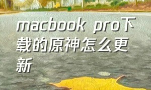 macbook pro下载的原神怎么更新