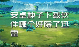 安卓种子下载软件哪个好除了迅雷（手机除了迅雷有什么好的下载软件）