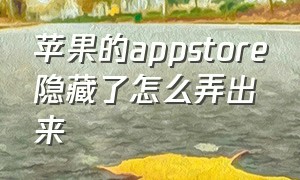 苹果的appstore隐藏了怎么弄出来