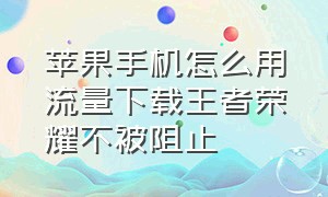 苹果手机怎么用流量下载王者荣耀不被阻止