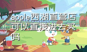 apple西湖直营店可以直接进去买吗