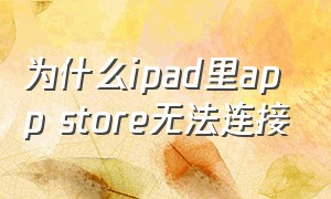 为什么ipad里app store无法连接