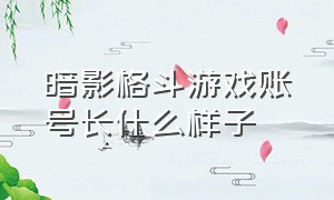 暗影格斗游戏账号长什么样子