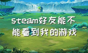 steam好友能不能看到我的游戏（steam好友能不能看到自己买的游戏）