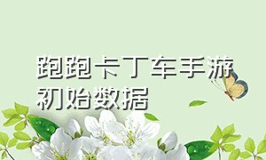 跑跑卡丁车手游初始数据（跑跑卡丁车手游详细教程讲解）