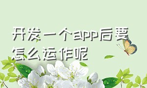 开发一个app后要怎么运作呢（个人开发一个app能做起来吗）