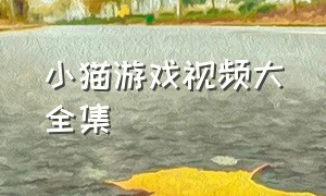 小猫游戏视频大全集