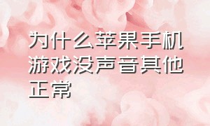 为什么苹果手机游戏没声音其他正常