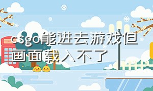 csgo能进去游戏但画面载入不了