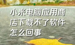 小米电脑应用商店下载不了软件怎么回事（小米电脑应用商店在哪重新下载）