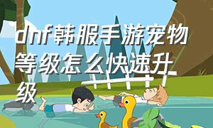 dnf韩服手游宠物等级怎么快速升级