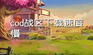 cod战区下载速度慢