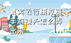 真实飞行模拟器手游镜头怎么弄出来（真实飞行模拟器怎么变成多人游戏）