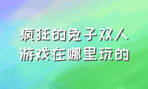 疯狂的兔子双人游戏在哪里玩的