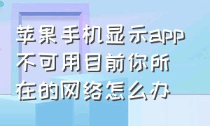 苹果手机显示app不可用目前你所在的网络怎么办