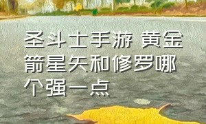 圣斗士手游 黄金箭星矢和修罗哪个强一点（圣斗士星矢手游ss好还是ex好）