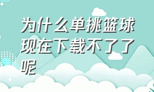 为什么单挑篮球现在下载不了了呢