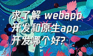 求了解 webapp开发和原生app开发哪个好?