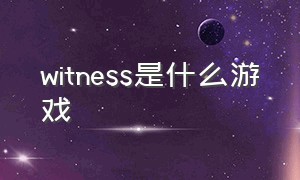 witness是什么游戏