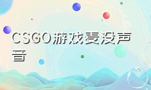 CSGO游戏麦没声音