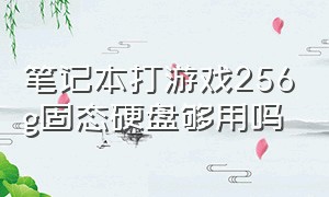 笔记本打游戏256g固态硬盘够用吗（打游戏台式512g固态硬盘够用吗）