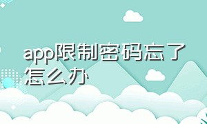 app限制密码忘了怎么办（app限制密码忘了怎么办）