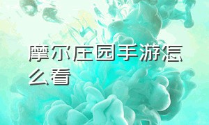 摩尔庄园手游怎么看