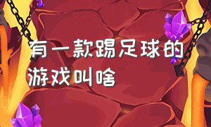 有一款踢足球的游戏叫啥（踢足球慢动作游戏叫什么名字）