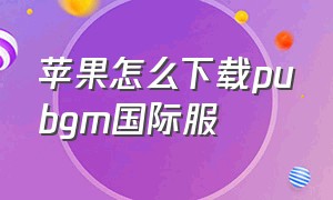 苹果怎么下载pubgm国际服（苹果手机pubg国际服下载方法）