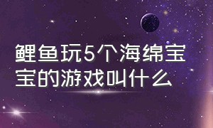 鲤鱼玩5个海绵宝宝的游戏叫什么（鲤鱼玩5个海绵宝宝的游戏叫什么游戏）