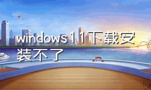 windows11下载安装不了