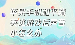 苹果手机和平精英进游戏后声音小怎么办