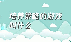 培养策略的游戏叫什么