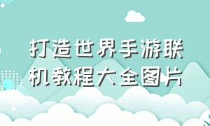 打造世界手游联机教程大全图片