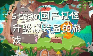 steam国产打怪升级爆装备的游戏