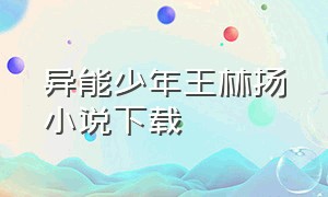 异能少年王林扬小说下载