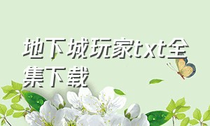 地下城玩家txt全集下载