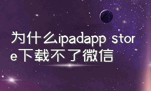 为什么ipadapp store下载不了微信