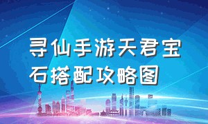 寻仙手游天君宝石搭配攻略图（寻仙手游天君平民最好加点方法）