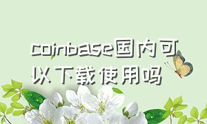 coinbase国内可以下载使用吗（coinbase中文版使用教程）