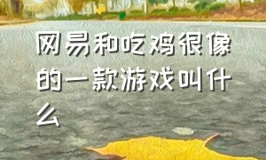 网易和吃鸡很像的一款游戏叫什么（和吃鸡很像的一款游戏叫什么名字）