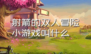 射箭的双人冒险小游戏叫什么（两个人对战的射箭小游戏）