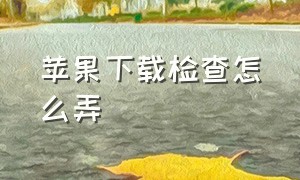 苹果下载检查怎么弄