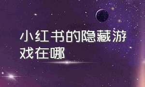 小红书的隐藏游戏在哪（小红书的隐藏游戏在哪里找）