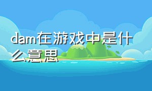 dam在游戏中是什么意思