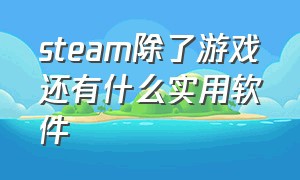 steam除了游戏还有什么实用软件（除了steam以外的游戏平台）