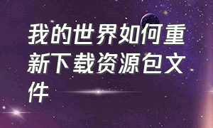 我的世界如何重新下载资源包文件