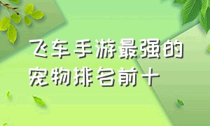 飞车手游最强的宠物排名前十（飞车手游最强的宠物排名前十是谁）