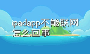 ipadapp不能联网怎么回事（ipad某些软件不能联网怎么操作）